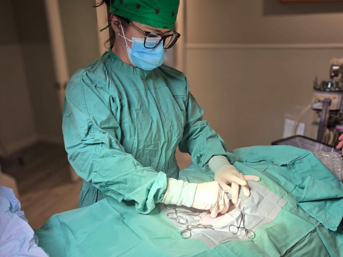 A veterinarian in a surgical gown and mask operating in the clinic's theatre